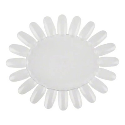 Ruedas de puntas blanca (1...